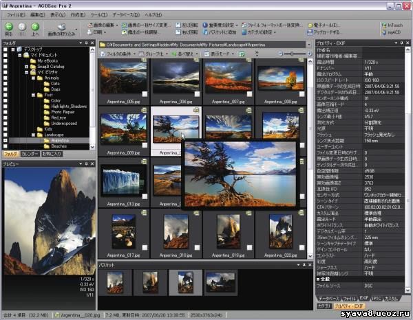 ACDSee Pro Photo Manager